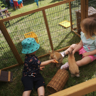 Unsere kleine Kaninchenfarm
