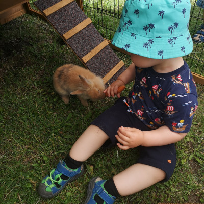Unsere kleine Kaninchenfarm